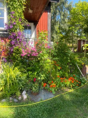 Sekelskiftsvilla - Bild 9