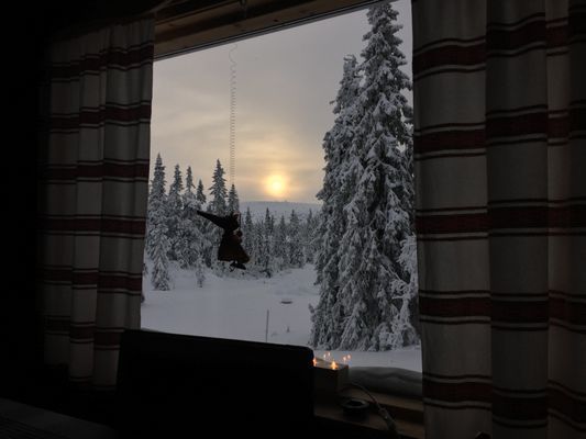 Nyår i prisvärd mysig gammeldags stuga - Bild 18