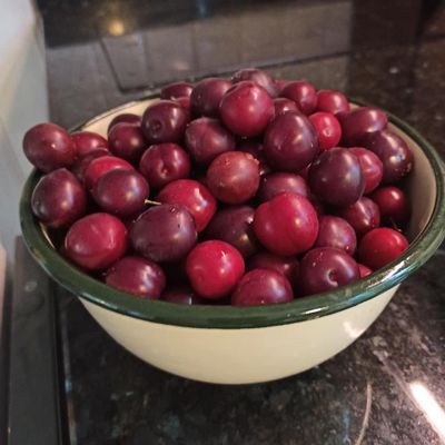 Charmigt torp på Tjörn med badtunna - Bild 35