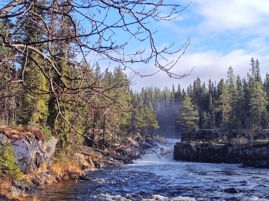 Magisk stuga i med utsikt över Fulufjället - Bild 15