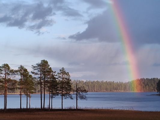 Magisk stuga i med utsikt över Fulufjället - Bild 14