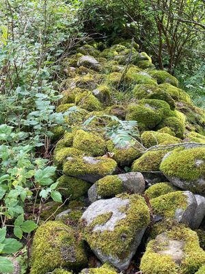 Charmigt torp på Tjörn med badtunna - Bild 30