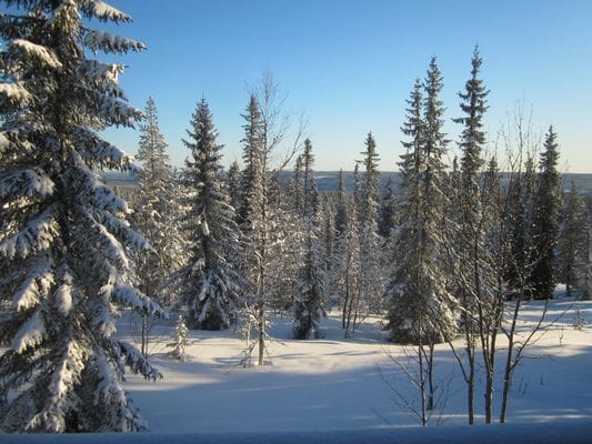 Bild 3 på Sälen/Lindvallen-Sälenstugan ski/in  ski/out läge