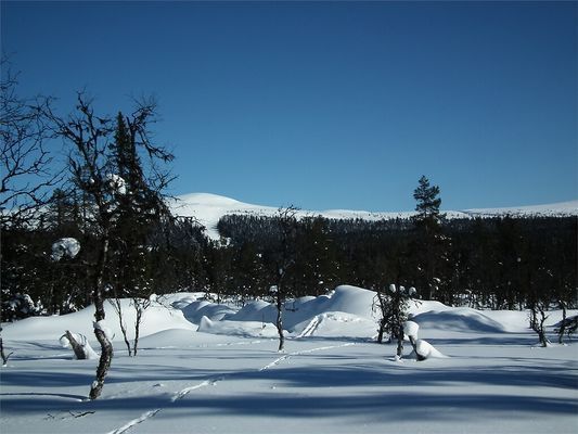 Bo nytt och fräscht i genuina Grövelsjöfjällen! - Bild 17