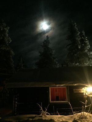 Nyår i prisvärd mysig gammeldags stuga - Bild 16