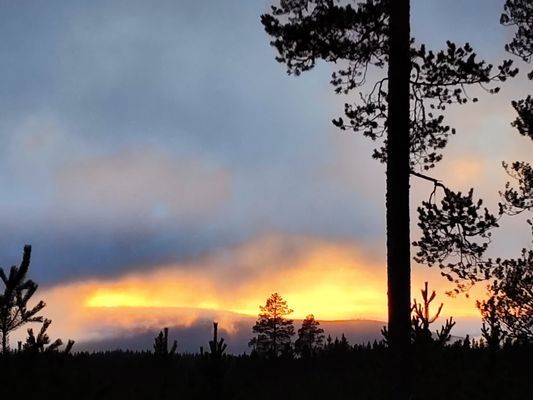 Magisk stuga i med utsikt över Fulufjället - Bild 27