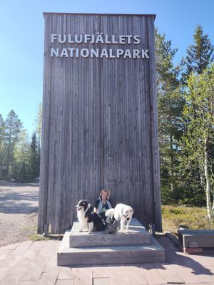 Magisk stuga i med utsikt över Fulufjället - Bild 28