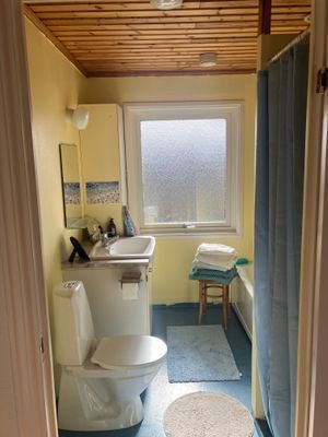 Hus vid Alvarets kant- fågelskådare - Bild 18