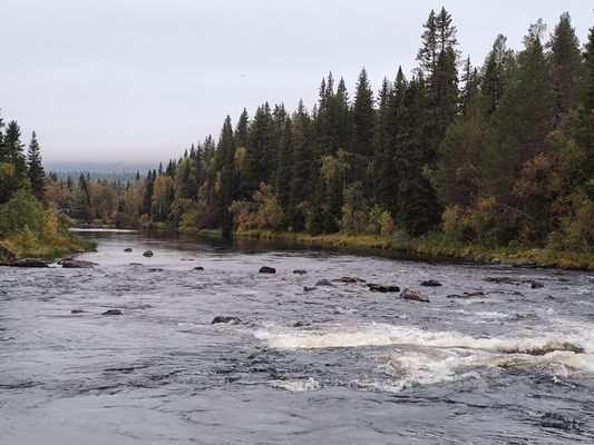 Magisk stuga i med utsikt över Fulufjället - Bild 31