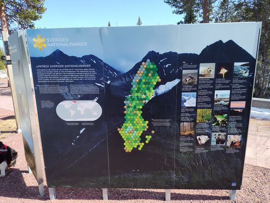 Magisk stuga i med utsikt över Fulufjället - Bild 38