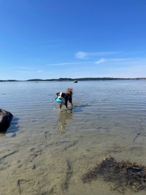 Långgrund strand 5 minuter från huset.