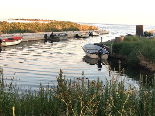 Semesterstuga på fantastiska Öland! - Bild 23