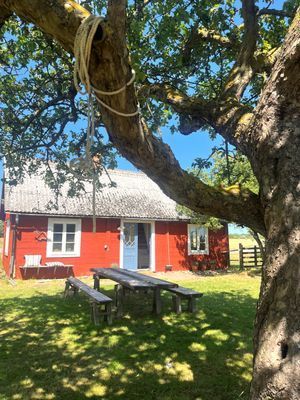 Semesterstuga på fantastiska Öland! - Bild 9