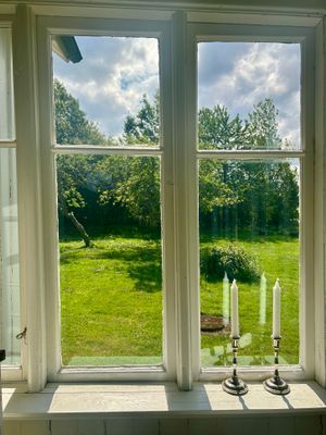 Äppelträd på tomten.