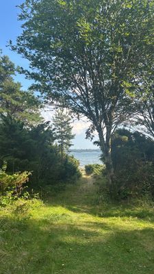 Vägen till badbryggan.