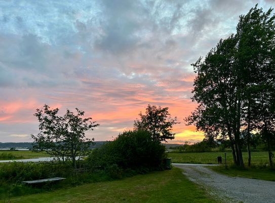 Vy från husets altan.