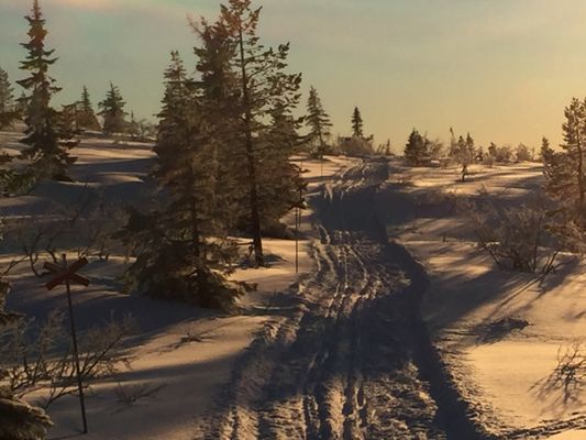 Nyår i prisvärd mysig gammeldags stuga - Bild 28