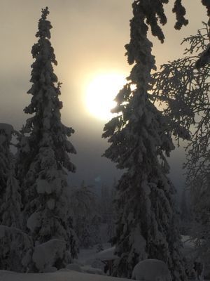 Nyår i prisvärd mysig gammeldags stuga - Bild 25