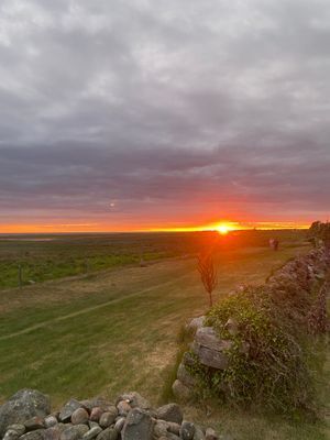 Första parkett mot havet och strandängarna - Bild 36