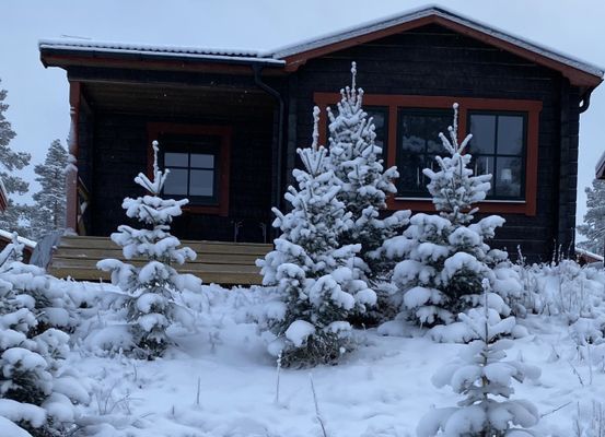 Näsfjället, Sälenfjällen - Bild 18