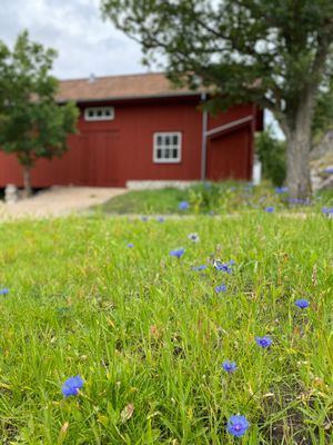 Vackert modernt ladhus på Flatön - Bild 18
