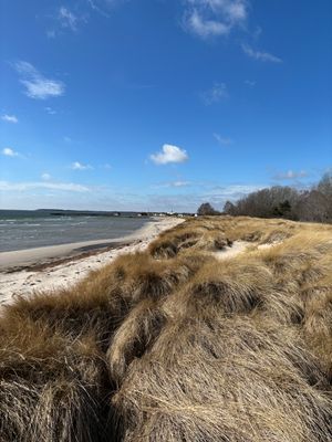 Bild 4 på Stuga på stranden i Herta på Sydöstra Gotland