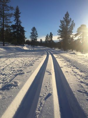 Nyår i prisvärd mysig gammeldags stuga - Bild 40