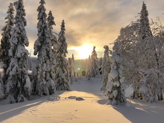 Nyår i prisvärd mysig gammeldags stuga - Bild 38