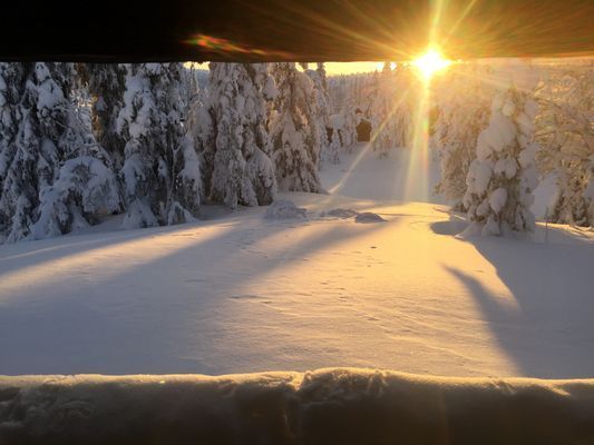 Nyår i prisvärd mysig gammeldags stuga - Bild 39