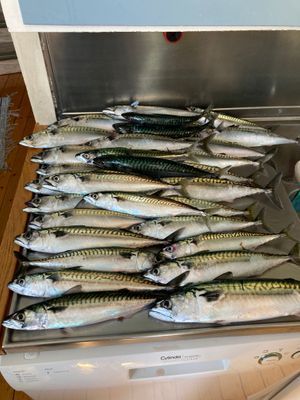 Hus centralt Bovallstrand - Bild 7