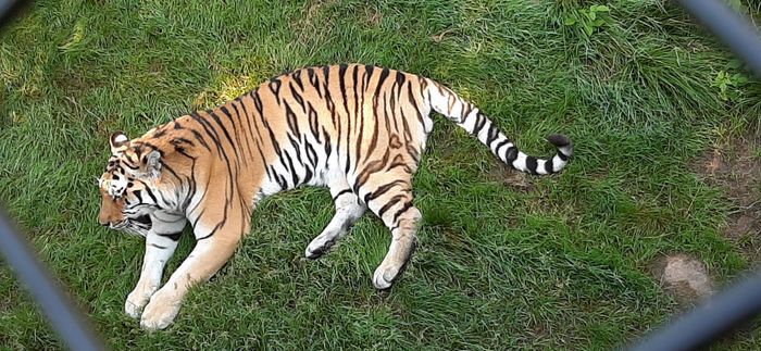 Hus centralt Bovallstrand - Bild 27