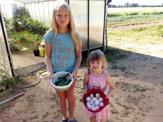 Bo på vår sparrisgård och upptäck Kullabygden! - Bild 12