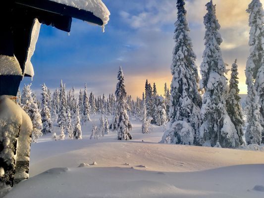 Nyår i prisvärd mysig gammeldags stuga - Bild 43