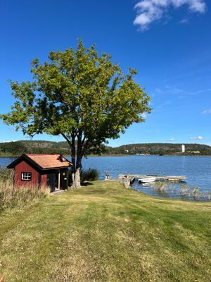 Hus med sjötomt, brygga, sandstrand, max kvällssol - Bild 27
