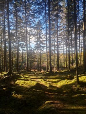 Lägenhet med lantligt läge med egen terrass - Bild 6