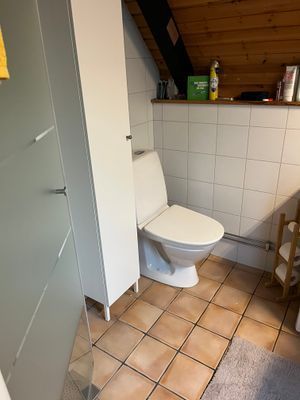 Toalett med dusch.