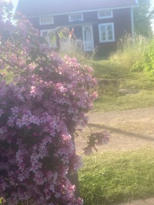 Bild 4 på Stuga (Drängstuga) 25 km till Astrid Lindgren-Byn