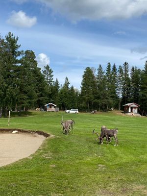 Fjällstuga Storhogna - Bild 25