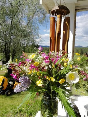 Villa Knagg, Mora, Älvdalen, Vasaloppsarenan - Bild 16