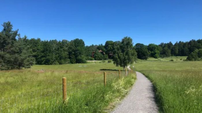 Rymligt hus nära bad och Stockholm city - Bild 20