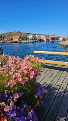 Hyr denna stuga i Tjörn på 20 m². 4 sängplatser. Från 3 997 kr per vecka. Se bilder och tillgänglighet här.