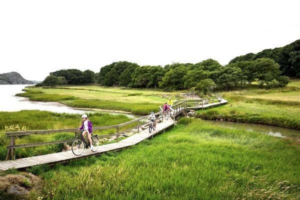 Stuga nära hav & natur på Tjörn | SE09143 - Bild 15