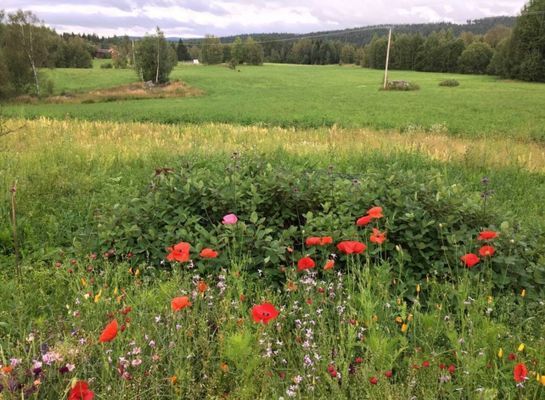 Hus i Järvsö - Bild 8