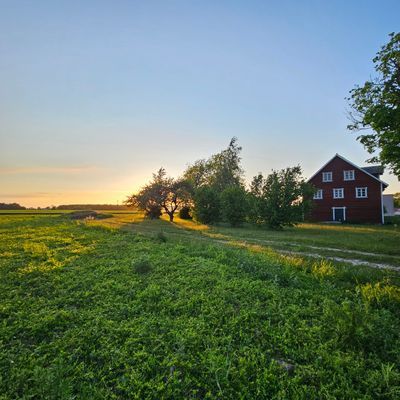 Gotländskt kalkstenshus - Bild 12