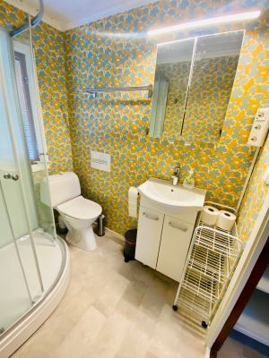 Värmland Årjäng sjö fiske båt SUP Västra Silen - Bild 14