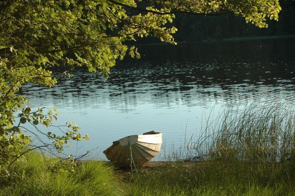 Avskild stuga i vacker vildmark  |SE18032 - Bild 8