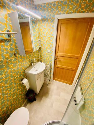 Värmland Årjäng sjö fiske båt SUP Västra Silen - Bild 15