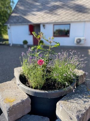 Hyr denna stuga i Viken på 70 m². 6 sängplatser. 15 000 - 18 000 kr per vecka. Se bilder och tillgänglighet här.