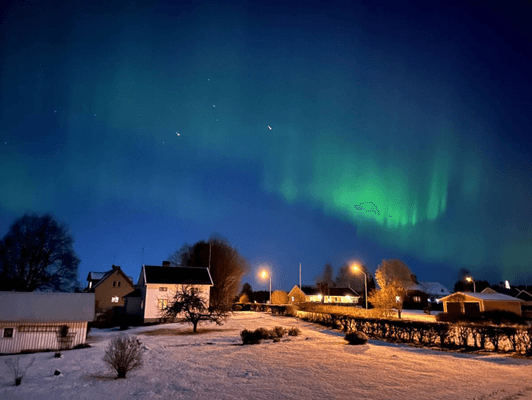 Enkelt boende med badmöjligheter i Tidan River - Bild 11