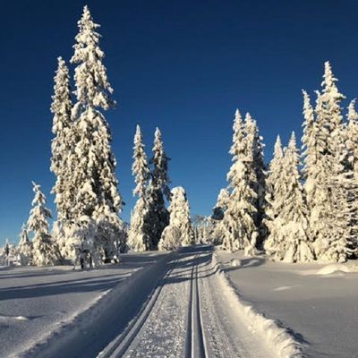 Sälen, Hundfjället - 2 lgh m bastu, ö spis, Wifi - Bild 13